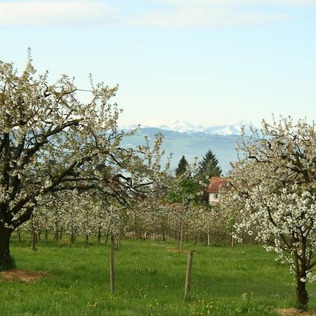 Villa Linke Am Bodensee Нонненхорн Экстерьер фото