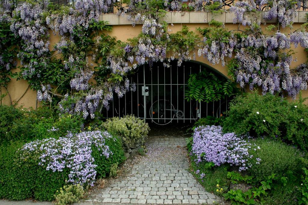 Villa Linke Am Bodensee Нонненхорн Экстерьер фото