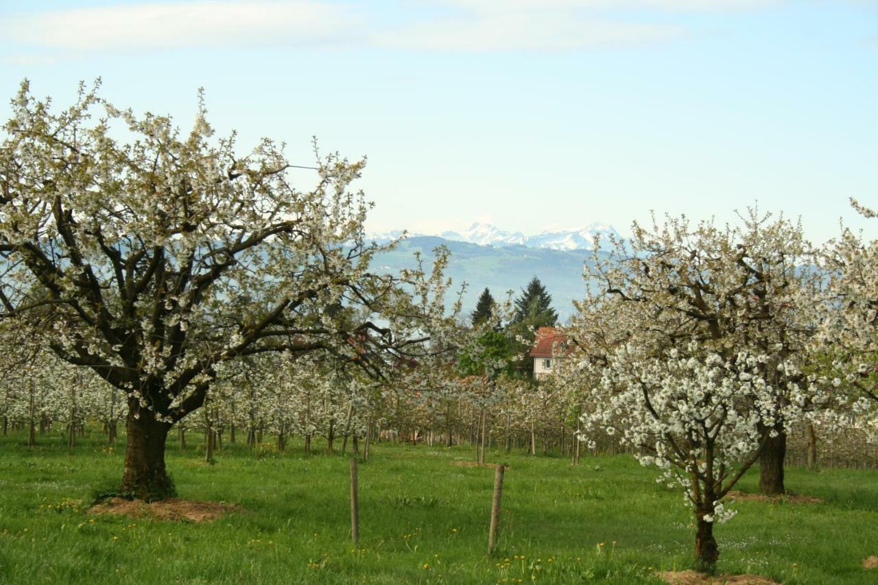 Villa Linke Am Bodensee Нонненхорн Экстерьер фото